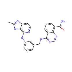 Cc1nc2ccnc(Nc3cccc(CNc4ncnc5c(C(N)=O)cccc45)c3)c2[nH]1 ZINC000114345017