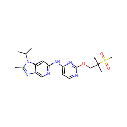 Cc1nc2cnc(Nc3ccnc(OCC(C)(C)S(C)(=O)=O)n3)cc2n1C(C)C ZINC000263621040