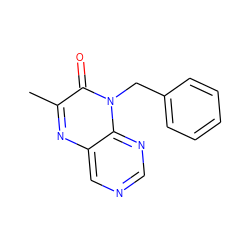 Cc1nc2cncnc2n(Cc2ccccc2)c1=O ZINC000004238775