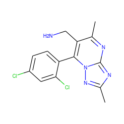 Cc1nc2nc(C)c(CN)c(-c3ccc(Cl)cc3Cl)n2n1 ZINC000038223362