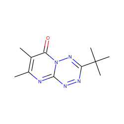 Cc1nc2nnc(C(C)(C)C)nn2c(=O)c1C ZINC000003595479