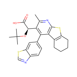 Cc1nc2sc3c(c2c(-c2ccc4ncsc4c2)c1[C@@H](OC(C)(C)C)C(=O)O)CCCC3 ZINC000113122855