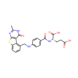 Cc1nc2sc3cccc(CNc4ccc(C(=O)N[C@@H](CCC(=O)O)C(=O)O)cc4)c3c2c(=O)[nH]1 ZINC000072113506