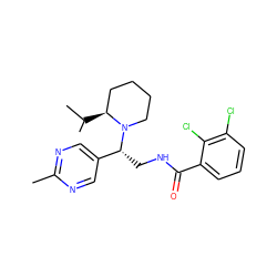 Cc1ncc([C@@H](CNC(=O)c2cccc(Cl)c2Cl)N2CCCC[C@@H]2C(C)C)cn1 ZINC000207658319