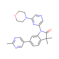 Cc1ncc(-c2ccc3c(c2)N(c2cncc(N4CCOCC4)n2)C(=O)C3(C)C)cn1 ZINC001848350925