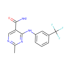 Cc1ncc(C(N)=O)c(Nc2cccc(C(F)(F)F)c2)n1 ZINC000040896451