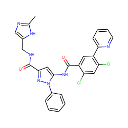 Cc1ncc(CNC(=O)c2cc(NC(=O)c3cc(-c4ccccn4)c(Cl)cc3Cl)n(-c3ccccc3)n2)[nH]1 ZINC001772588617