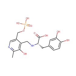 Cc1ncc(COP(=O)(O)O)c(CN[C@@H](Cc2ccc(O)c(O)c2)C(=O)O)c1O ZINC000013536865