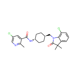 Cc1ncc(Cl)cc1C(=O)N[C@H]1CC[C@H](CN2C(=O)C(C)(C)c3cccc(Cl)c32)CC1 ZINC000653670278