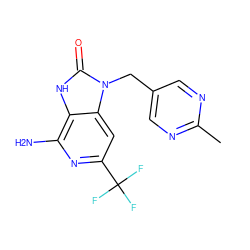 Cc1ncc(Cn2c(=O)[nH]c3c(N)nc(C(F)(F)F)cc32)cn1 ZINC000071316401