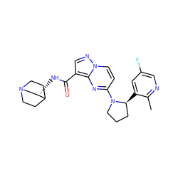 Cc1ncc(F)cc1[C@H]1CCCN1c1ccn2ncc(C(=O)N[C@H]3CN4CCC3CC4)c2n1 ZINC000139667847