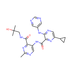 Cc1ncc(NC(=O)c2nc(C3CC3)cnc2Nc2cncnc2)c(C(=O)NCC(C)(C)O)n1 ZINC000169701891