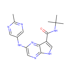 Cc1ncc(Nc2cnc3[nH]cc(C(=O)NC(C)(C)C)c3n2)cn1 ZINC000145194594