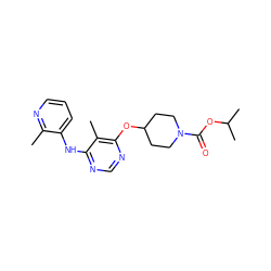 Cc1ncccc1Nc1ncnc(OC2CCN(C(=O)OC(C)C)CC2)c1C ZINC000073281007