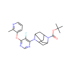 Cc1ncccc1Oc1ncnc(N2C3CC4CC2CC(C3)N4C(=O)OC(C)(C)C)c1F ZINC000095594254