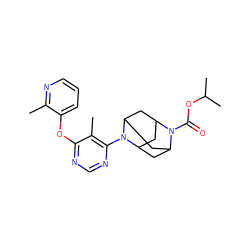 Cc1ncccc1Oc1ncnc(N2C3CC4CC2CC(C3)N4C(=O)OC(C)C)c1C ZINC000095595474