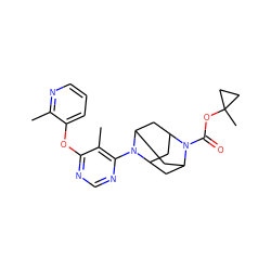 Cc1ncccc1Oc1ncnc(N2C3CC4CC2CC(C3)N4C(=O)OC2(C)CC2)c1C ZINC000095597786