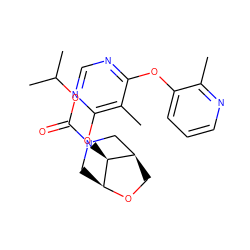 Cc1ncccc1Oc1ncnc(O[C@H]2[C@@H]3CO[C@H]2CN(C(=O)OC(C)C)C3)c1C ZINC000071317249