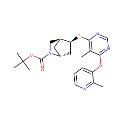 Cc1ncccc1Oc1ncnc(O[C@H]2C[C@H]3C[C@H]2CN3C(=O)OC(C)(C)C)c1C ZINC000101417743