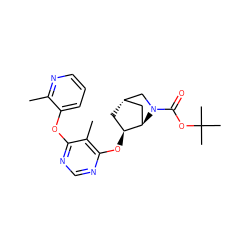 Cc1ncccc1Oc1ncnc(O[C@H]2C[C@H]3C[C@H]2N(C(=O)OC(C)(C)C)C3)c1C ZINC000101417728