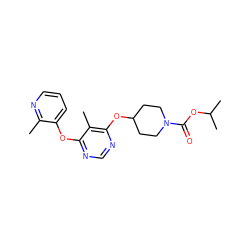 Cc1ncccc1Oc1ncnc(OC2CCN(C(=O)OC(C)C)CC2)c1C ZINC000034874663