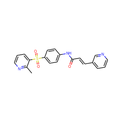 Cc1ncccc1S(=O)(=O)c1ccc(NC(=O)/C=C/c2cccnc2)cc1 ZINC000225951232