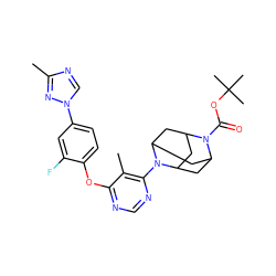 Cc1ncn(-c2ccc(Oc3ncnc(N4C5CC6CC4CC(C5)N6C(=O)OC(C)(C)C)c3C)c(F)c2)n1 ZINC000095596912