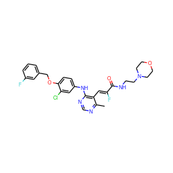 Cc1ncnc(Nc2ccc(OCc3cccc(F)c3)c(Cl)c2)c1/C=C(\F)C(=O)NCCN1CCOCC1 ZINC000066138430