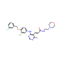 Cc1ncnc(Nc2ccc(OCc3cccc(F)c3)c(Cl)c2)c1/C=C/C(=O)NCCN1CCOCC1 ZINC000066138433