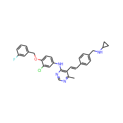 Cc1ncnc(Nc2ccc(OCc3cccc(F)c3)c(Cl)c2)c1/C=C/c1ccc(CNC2CC2)cc1 ZINC000073240406