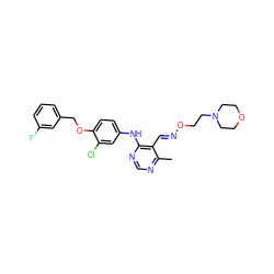 Cc1ncnc(Nc2ccc(OCc3cccc(F)c3)c(Cl)c2)c1/C=N/OCCN1CCOCC1 ZINC000066074949