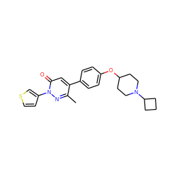 Cc1nn(-c2ccsc2)c(=O)cc1-c1ccc(OC2CCN(C3CCC3)CC2)cc1 ZINC000073198890