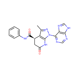 Cc1nn(-c2ncnc3[nH]cnc23)c2c1[C@H](C(=O)Nc1ccccc1)CC(=O)N2 ZINC001772646037