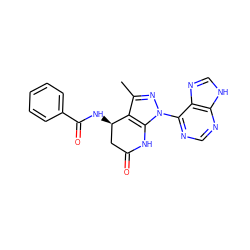 Cc1nn(-c2ncnc3[nH]cnc23)c2c1[C@H](NC(=O)c1ccccc1)CC(=O)N2 ZINC001772620845