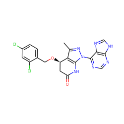 Cc1nn(-c2ncnc3[nH]cnc23)c2c1[C@H](OCc1ccc(Cl)cc1Cl)CC(=O)N2 ZINC001772570762