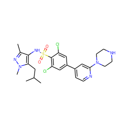 Cc1nn(C)c(CC(C)C)c1NS(=O)(=O)c1c(Cl)cc(-c2ccnc(N3CCNCC3)c2)cc1Cl ZINC000117318879