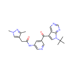 Cc1nn(C)cc1CC(=O)Nc1cncc(C(=O)c2cn(C(C)(C)C)c3ncncc23)c1 ZINC000169707756