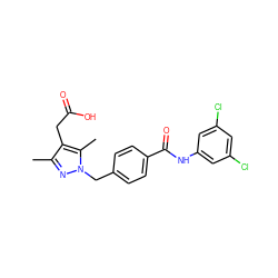 Cc1nn(Cc2ccc(C(=O)Nc3cc(Cl)cc(Cl)c3)cc2)c(C)c1CC(=O)O ZINC000169704023