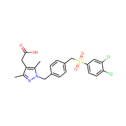 Cc1nn(Cc2ccc(CS(=O)(=O)c3ccc(Cl)c(Cl)c3)cc2)c(C)c1CC(=O)O ZINC000113990925