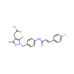 Cc1nn(Cc2ccc(NC(=O)/C=C/c3ccc(Cl)cc3)cc2)c(C)c1CC(=O)O ZINC000141786773