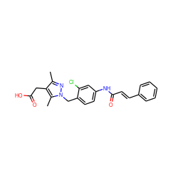 Cc1nn(Cc2ccc(NC(=O)/C=C/c3ccccc3)cc2Cl)c(C)c1CC(=O)O ZINC000168924372