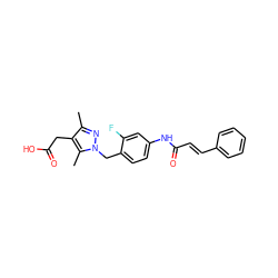 Cc1nn(Cc2ccc(NC(=O)/C=C/c3ccccc3)cc2F)c(C)c1CC(=O)O ZINC000168929274