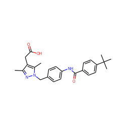 Cc1nn(Cc2ccc(NC(=O)c3ccc(C(C)(C)C)cc3)cc2)c(C)c1CC(=O)O ZINC000168869349