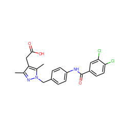 Cc1nn(Cc2ccc(NC(=O)c3ccc(Cl)c(Cl)c3)cc2)c(C)c1CC(=O)O ZINC000141564920