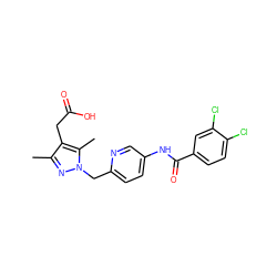 Cc1nn(Cc2ccc(NC(=O)c3ccc(Cl)c(Cl)c3)cn2)c(C)c1CC(=O)O ZINC000169704037