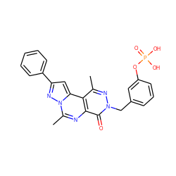 Cc1nn(Cc2cccc(OP(=O)(O)O)c2)c(=O)c2nc(C)n3nc(-c4ccccc4)cc3c12 ZINC000028522608