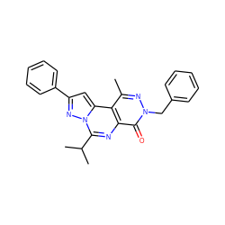 Cc1nn(Cc2ccccc2)c(=O)c2nc(C(C)C)n3nc(-c4ccccc4)cc3c12 ZINC000036242930