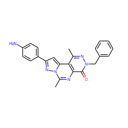 Cc1nn(Cc2ccccc2)c(=O)c2nc(C)n3nc(-c4ccc(N)cc4)cc3c12 ZINC000028521827