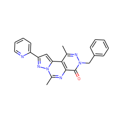 Cc1nn(Cc2ccccc2)c(=O)c2nc(C)n3nc(-c4ccccn4)cc3c12 ZINC000028523733