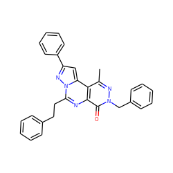 Cc1nn(Cc2ccccc2)c(=O)c2nc(CCc3ccccc3)n3nc(-c4ccccc4)cc3c12 ZINC000028522698